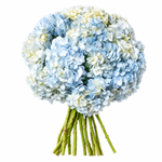 Load image into Gallery viewer, Azurielle Hydrangeas