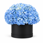 Load image into Gallery viewer, Bluevera Hydrangeas