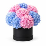 Load image into Gallery viewer, Cotonia Hydrangeas