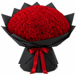 Load image into Gallery viewer, Crimson 201