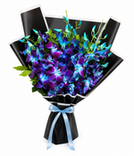 Load image into Gallery viewer, Noctura Orchids