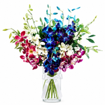 Load image into Gallery viewer, Orchella Orchids