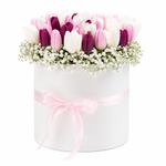 Load image into Gallery viewer, Tulip Symphony