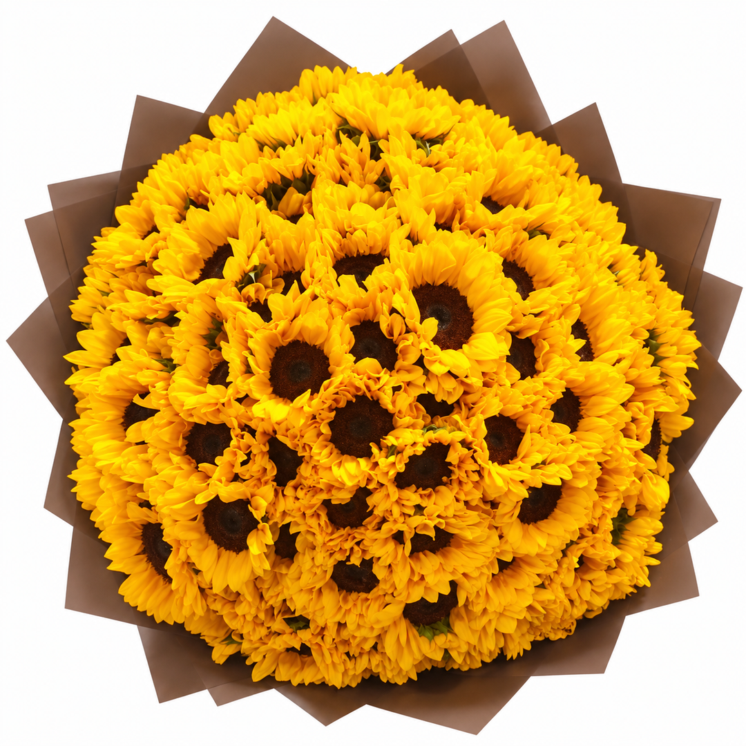 101 Sunflowers – Radiant Devotion
