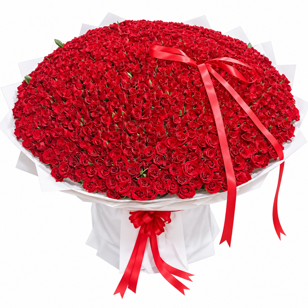 1000 Red Roses – Beyond All Limits
