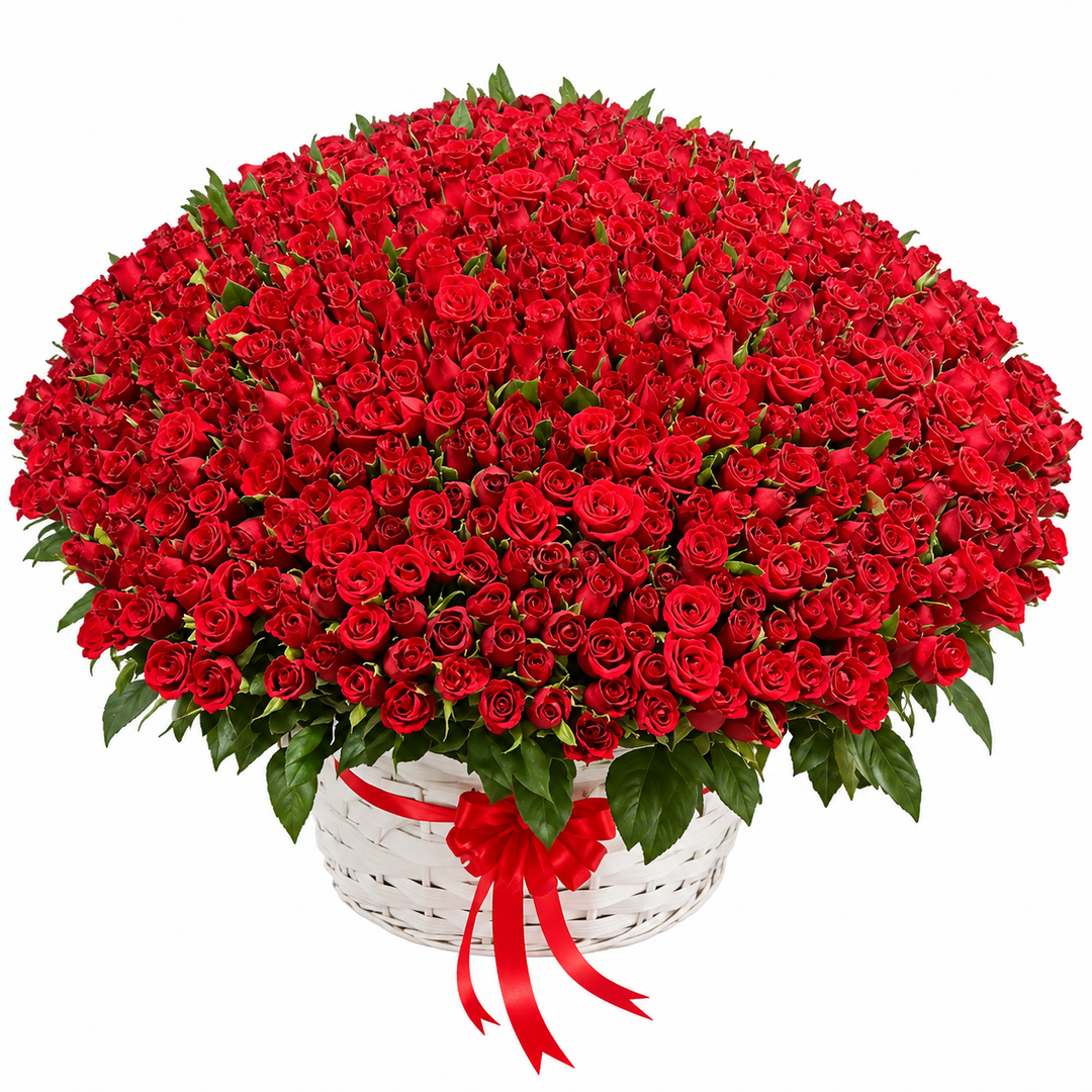 1500 Red Roses – Legacy of Love