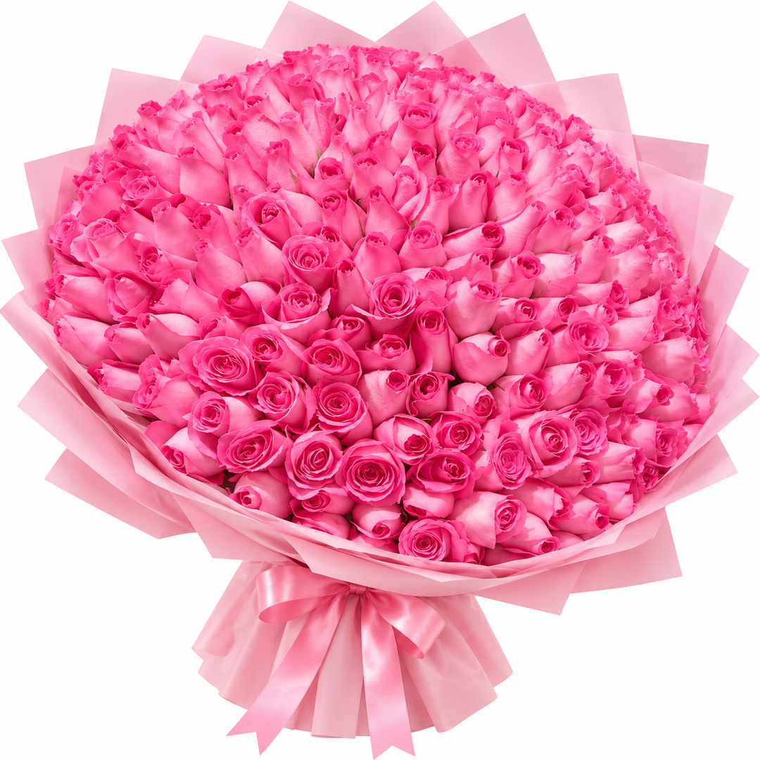 100 Pink Roses – Blush Grandeur