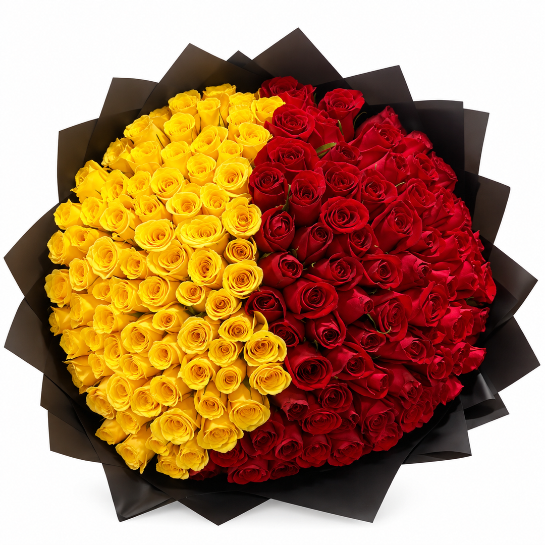 151 Yellow & Red Roses – Bold Harmony