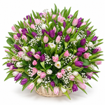 Load image into Gallery viewer, 250 Tulips – Garden Grandeur