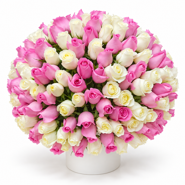 300 Pink & White Roses – Grand Harmony