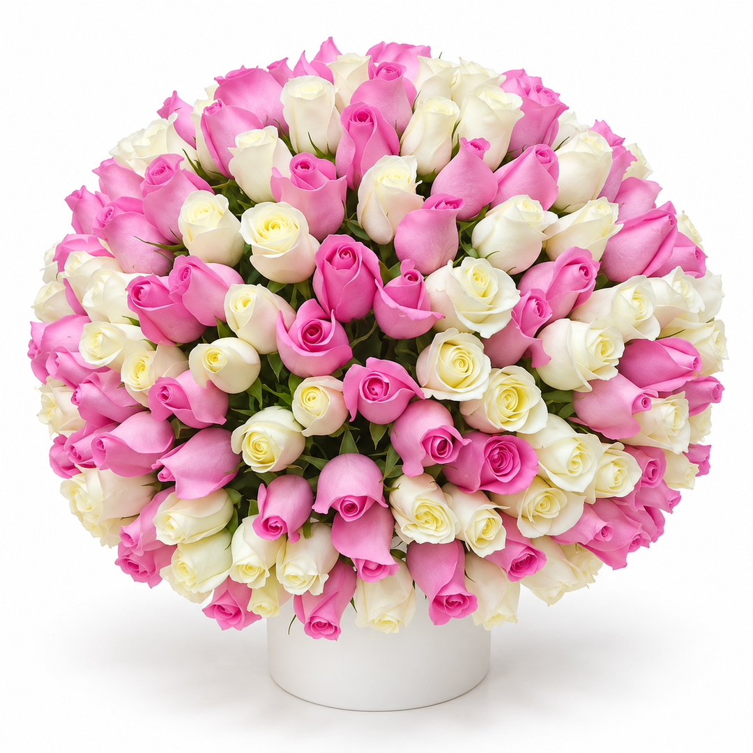 300 Pink & White Roses – Grand Harmony