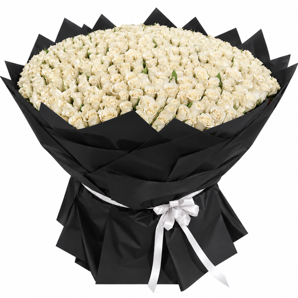300 White Roses – Pure Grand Majesty