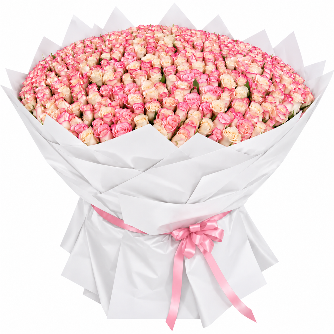500 Peach & Pink Roses – Grand Radiant Harmony