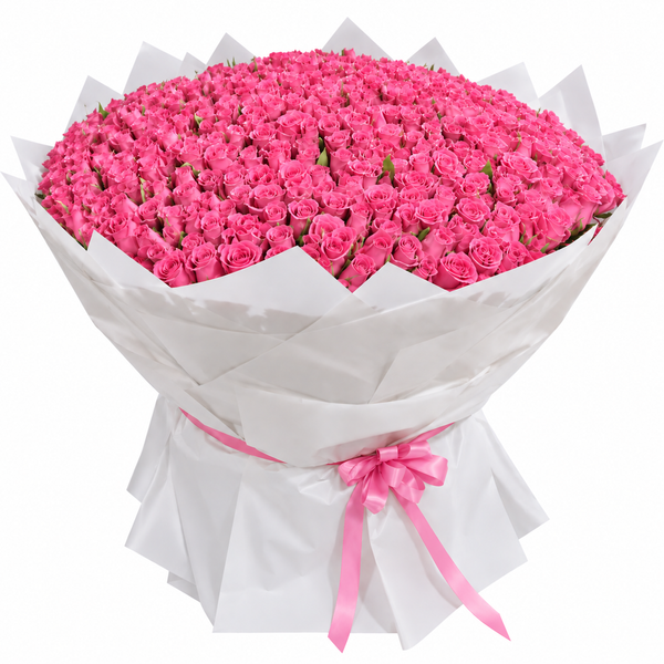 500 Pink Roses – Grand Radiance