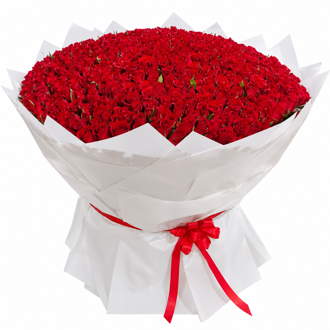 501 Red Roses – Passion Without End