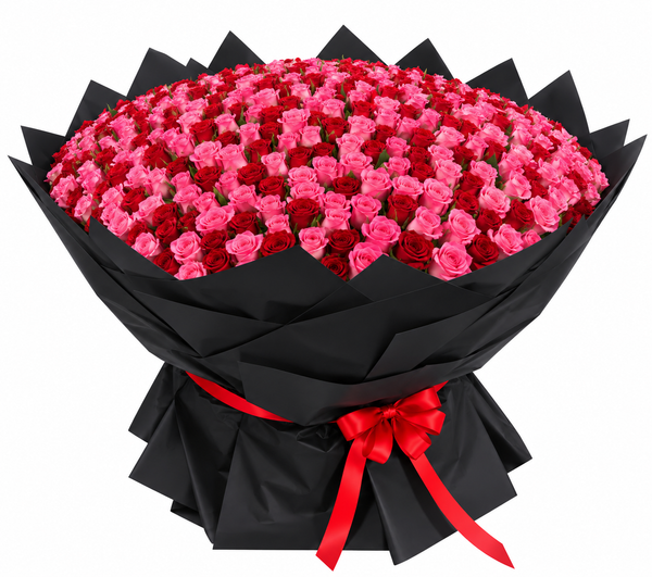 600 Red & Pink Roses – Grand Romance Unmatched