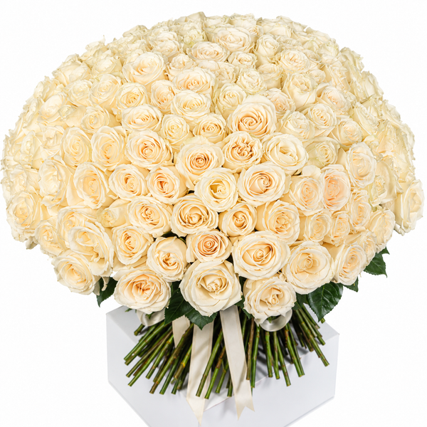 Alvera Roses