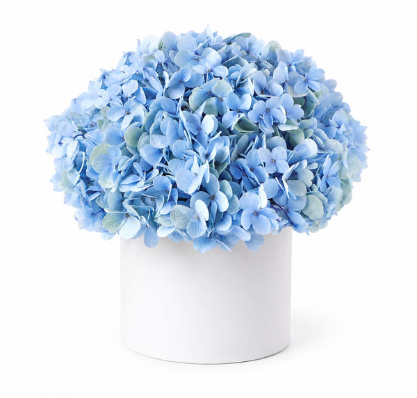 Azure Bloom