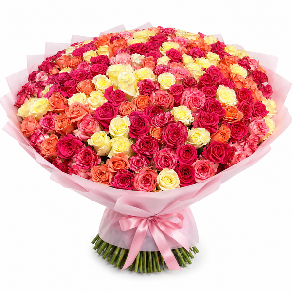Belluno Roses