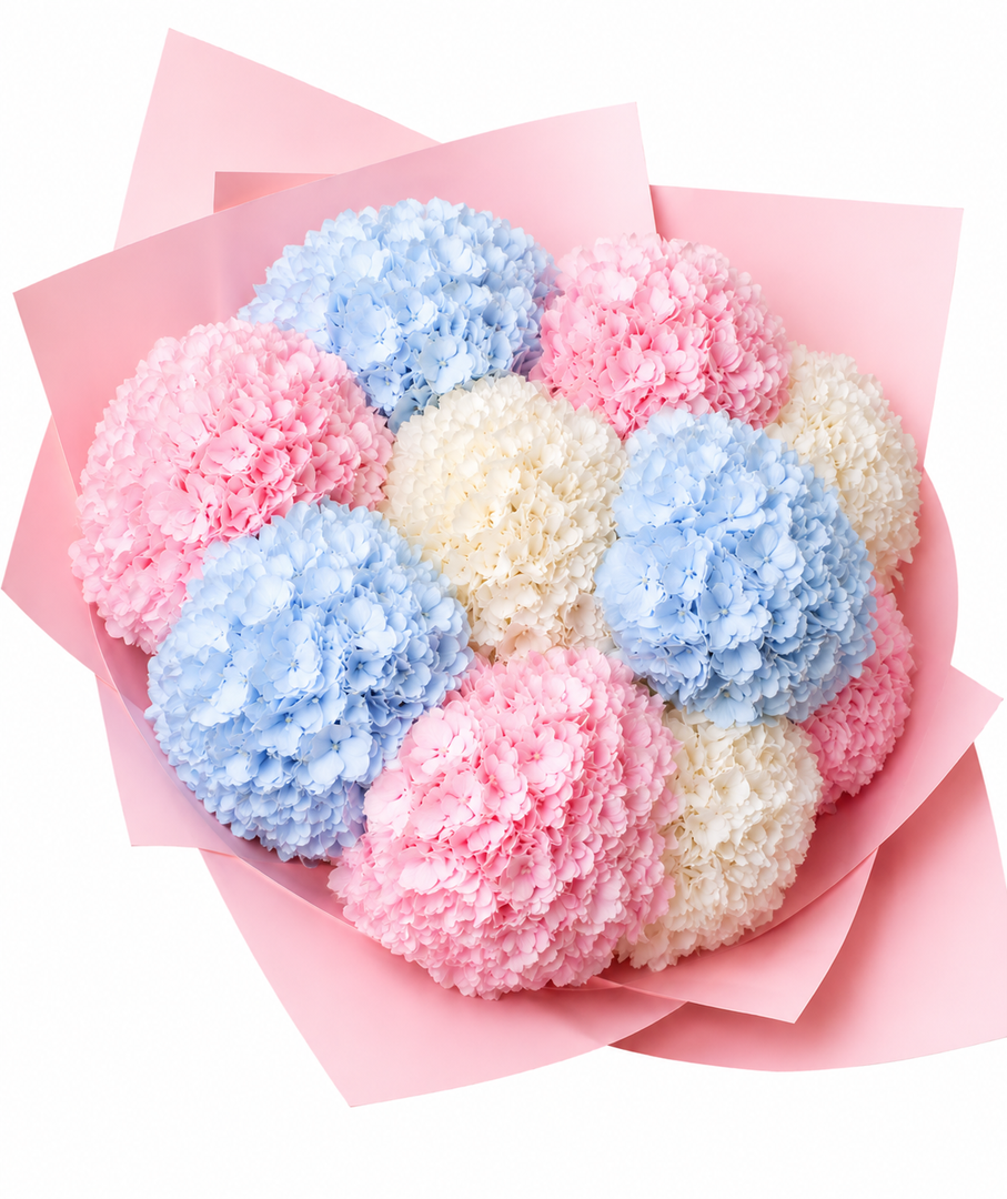 Bloomara Hydrangeas