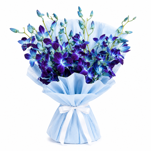 Bluette Orchids