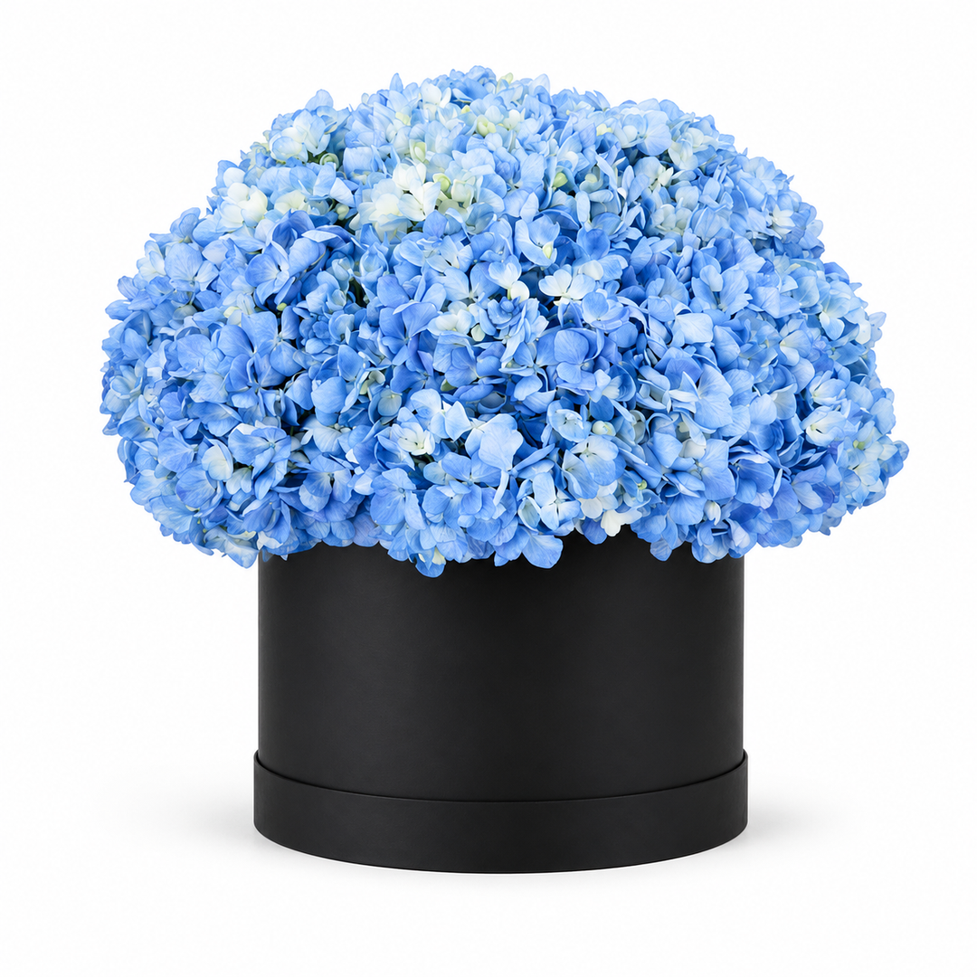Bluevera Hydrangeas