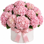 Load image into Gallery viewer, 15 Pink Hydrangeas – Blush Bloom Box