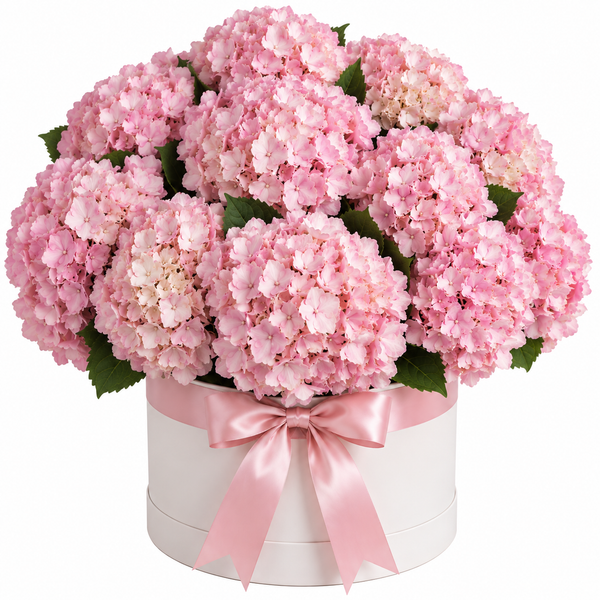 15 Pink Hydrangeas – Blush Bloom Box