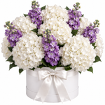 Load image into Gallery viewer, 15 Hydrangeas &amp; Stock Flowers – Lavender Cloud Box