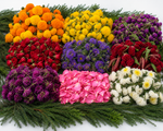 Load image into Gallery viewer, Colourful fresh flowers and greenery arranged for Onam Pookalam decoration