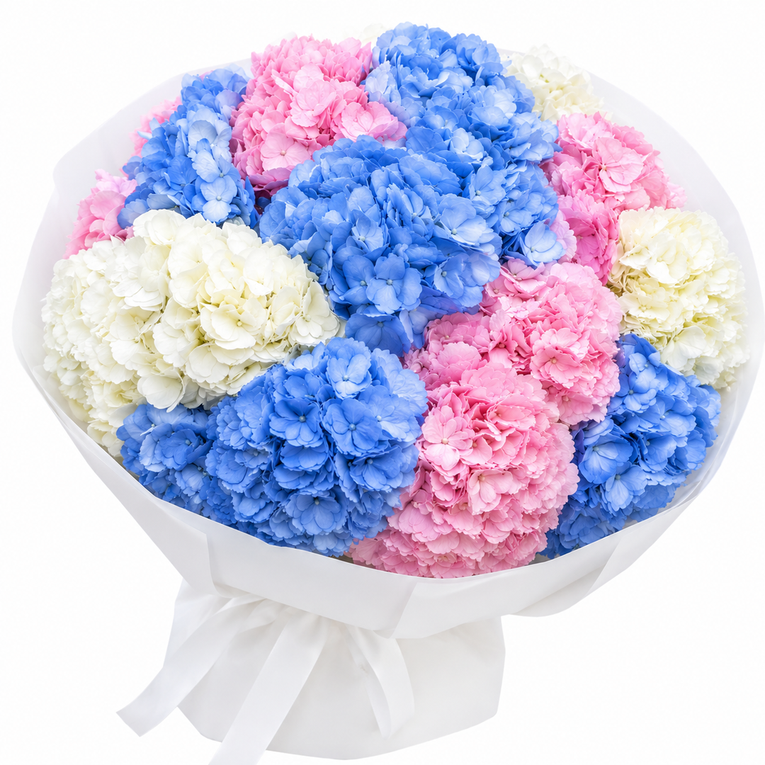 Cloudelle Hydrangeas