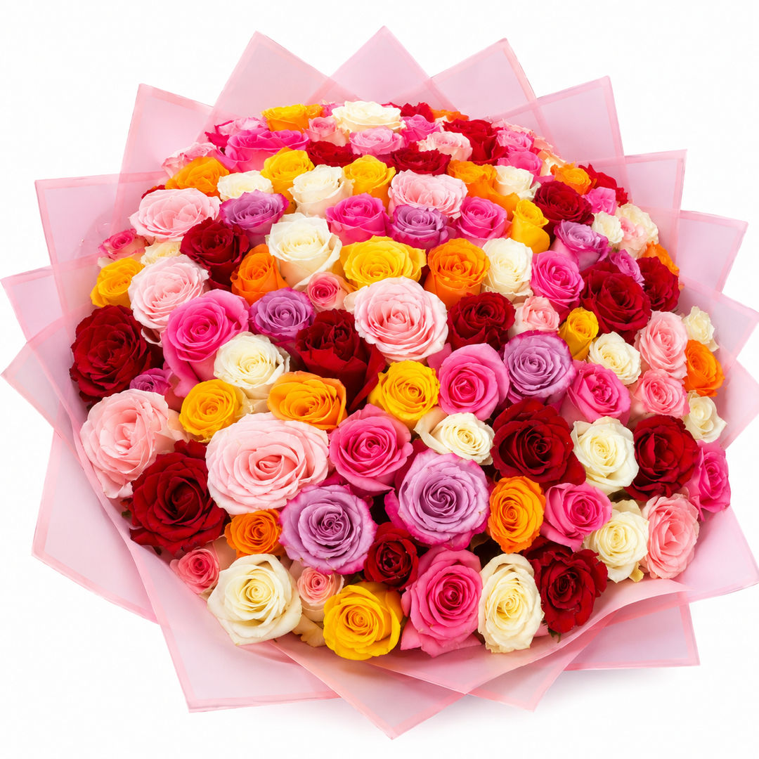 Festival Roses