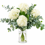 Load image into Gallery viewer, Frostelle Hydrangeas