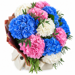 Load image into Gallery viewer, Hydrella Hydrangeas