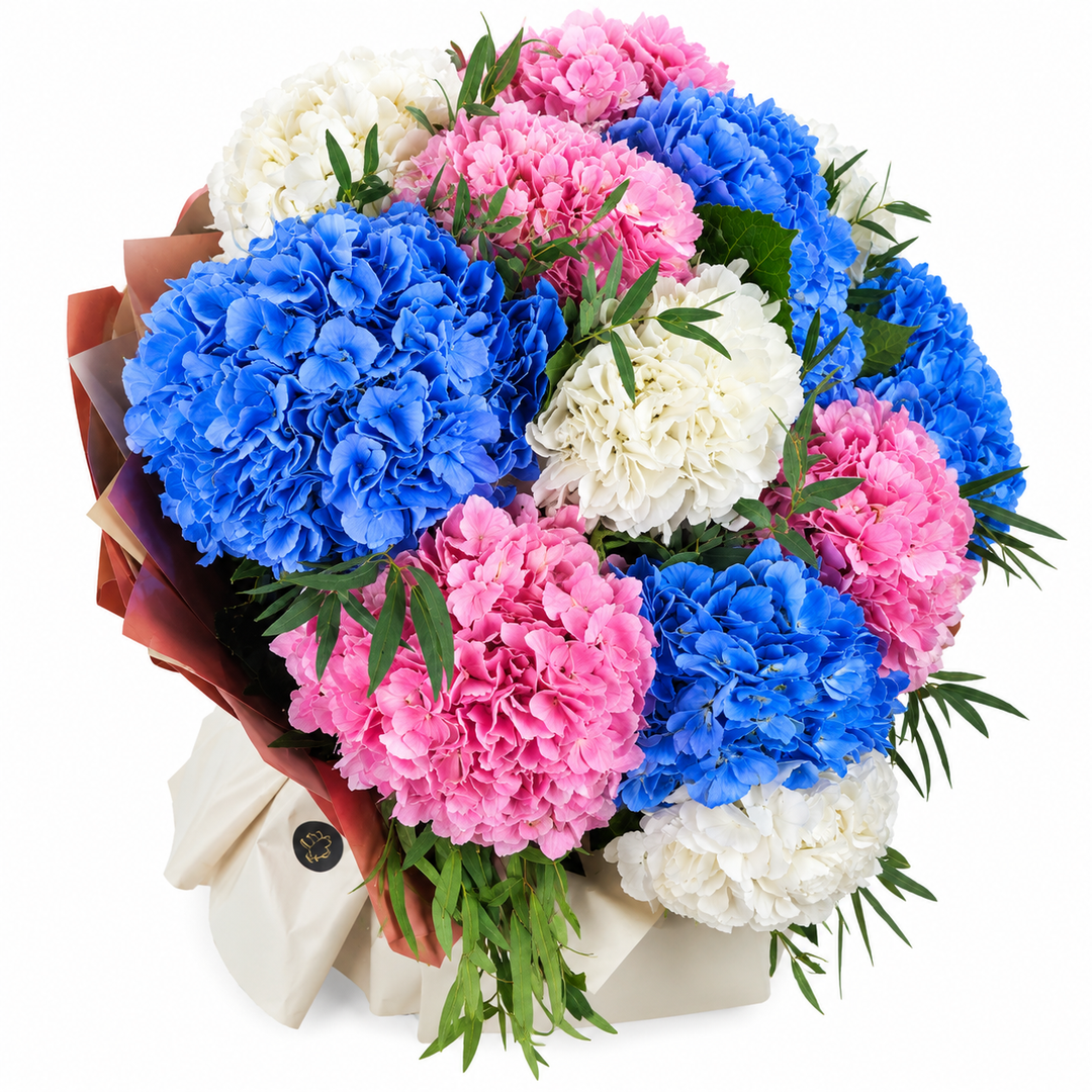 Hydrella Hydrangeas