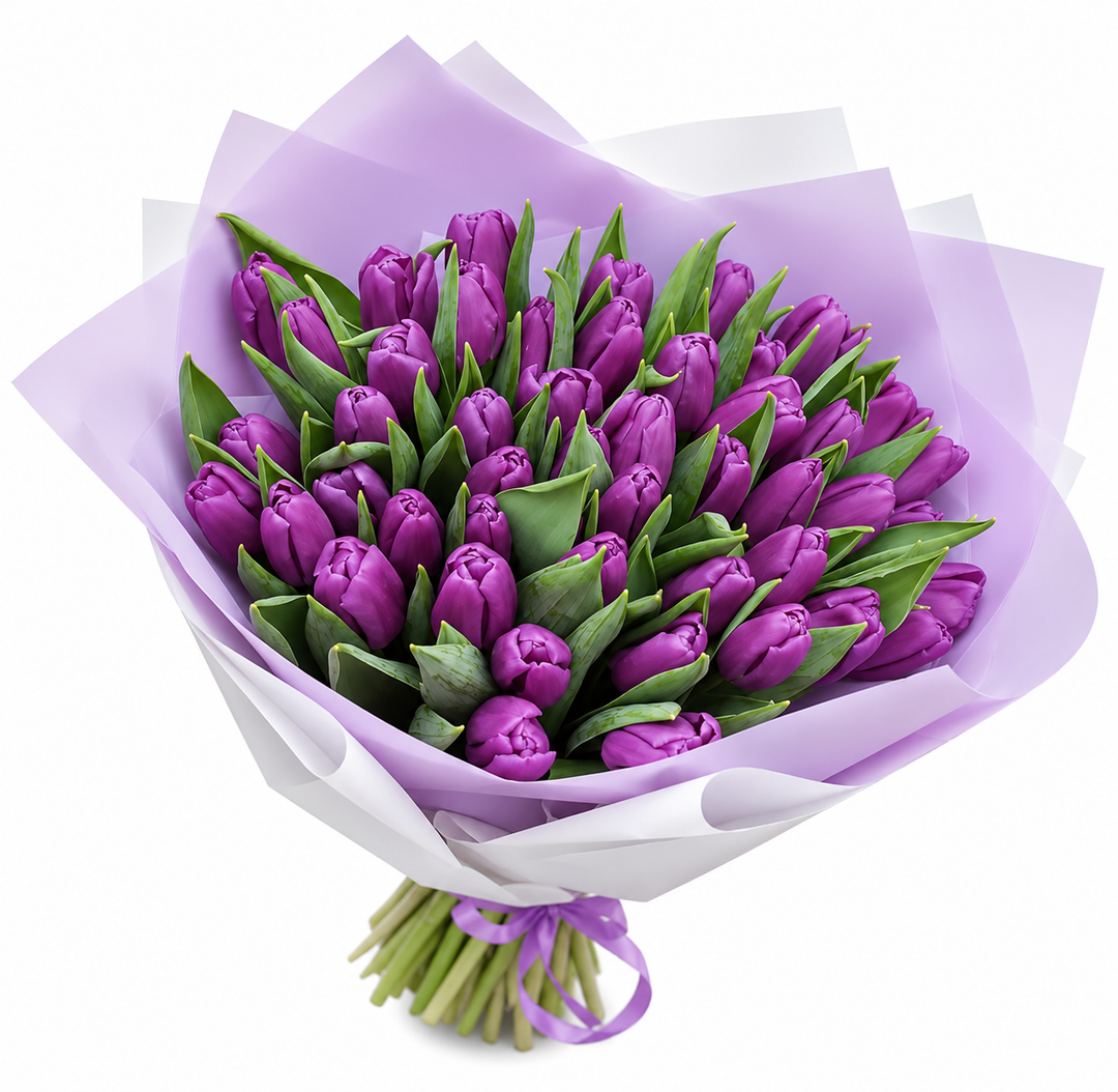 Lavandor Tulips