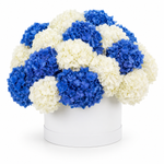Load image into Gallery viewer, Mariselle Hydrangeas