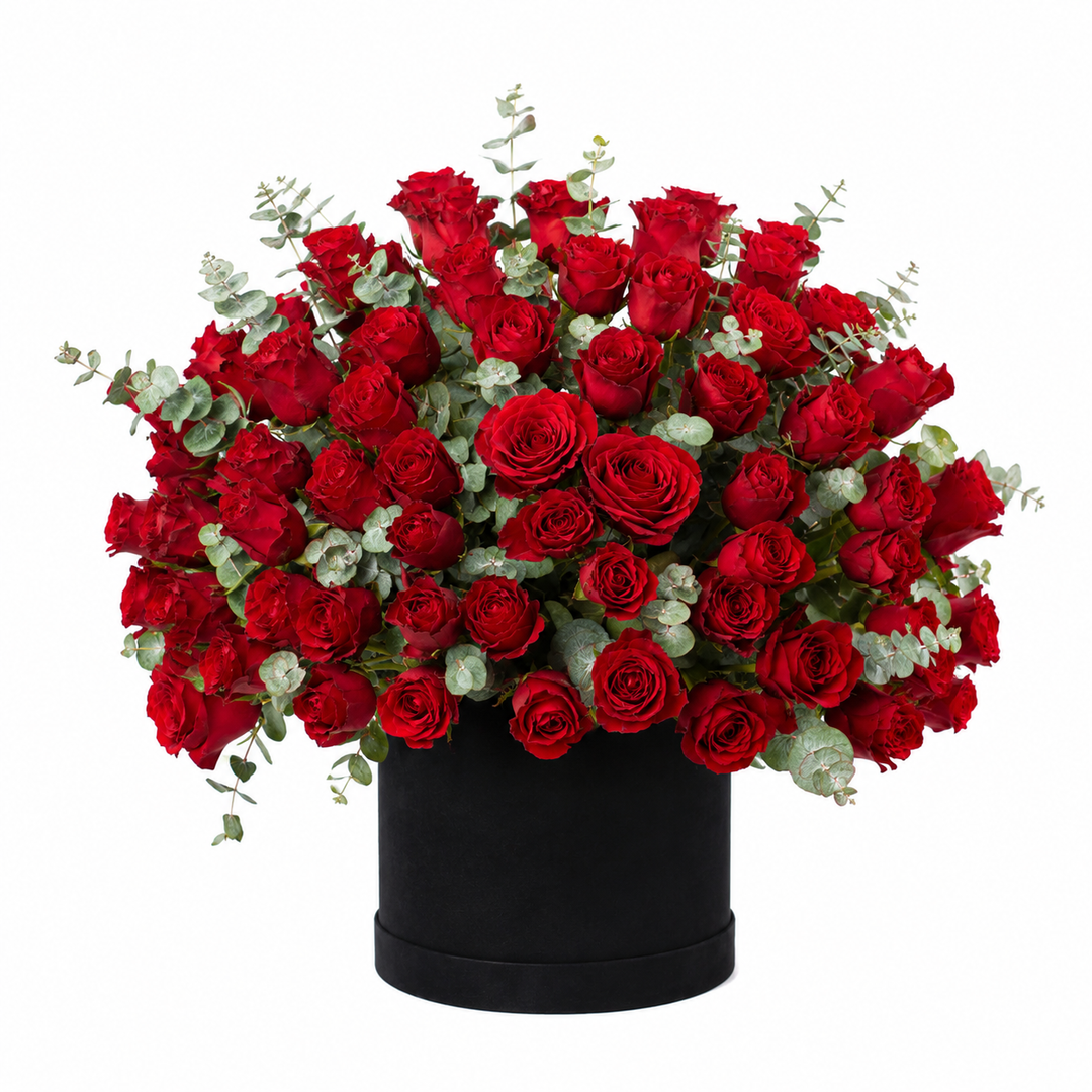 Midnight Rose
