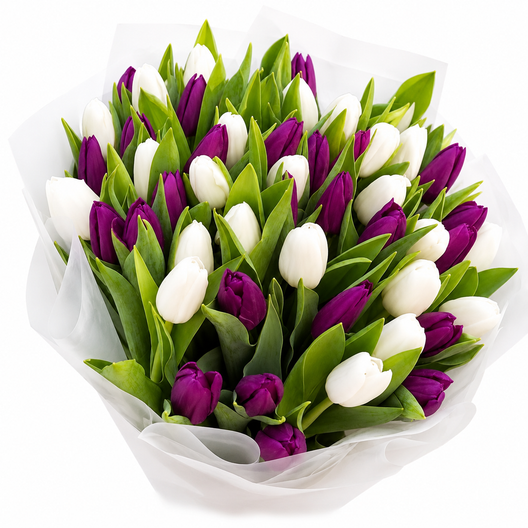 Moonessa Tulips