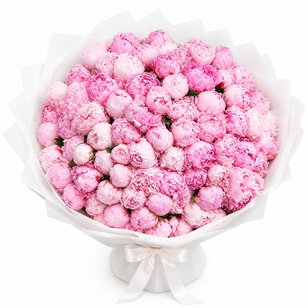 Peonara Peonies