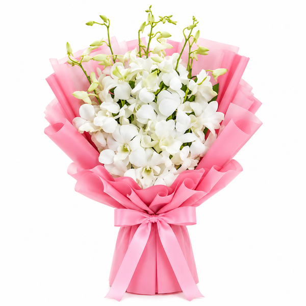 Pinkchid Orchids