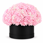 Load image into Gallery viewer, Pinkvera Hydrangeas