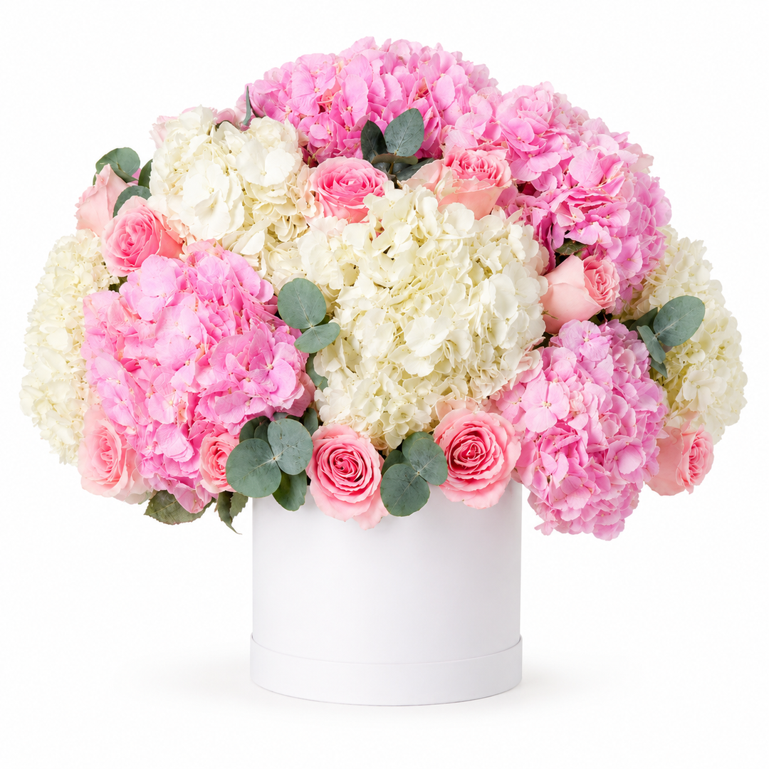 Roselune Hydrangeas