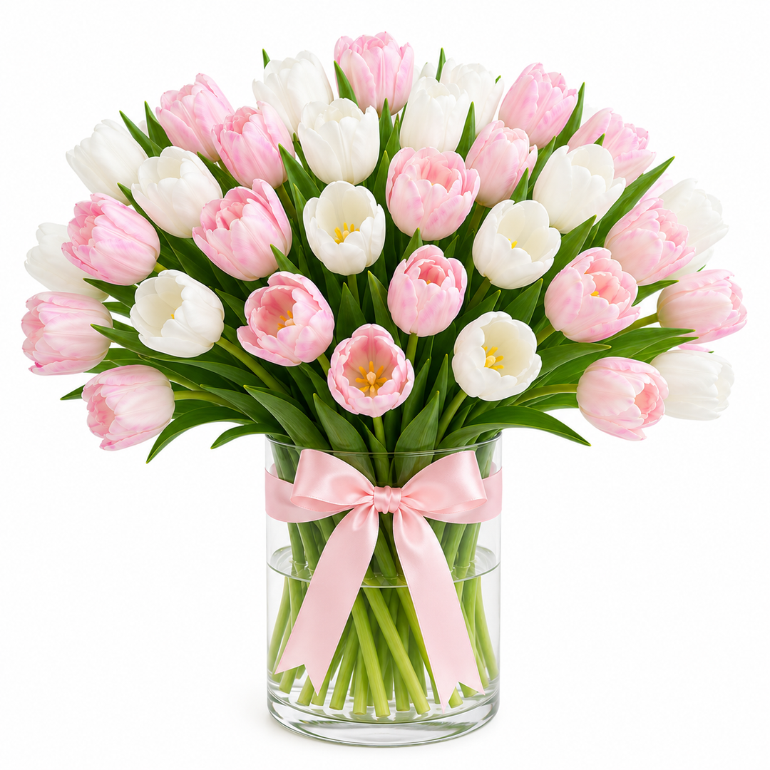 Rosy Tulips