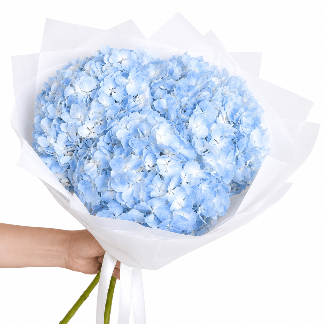 Skyvelle Hydrangeas