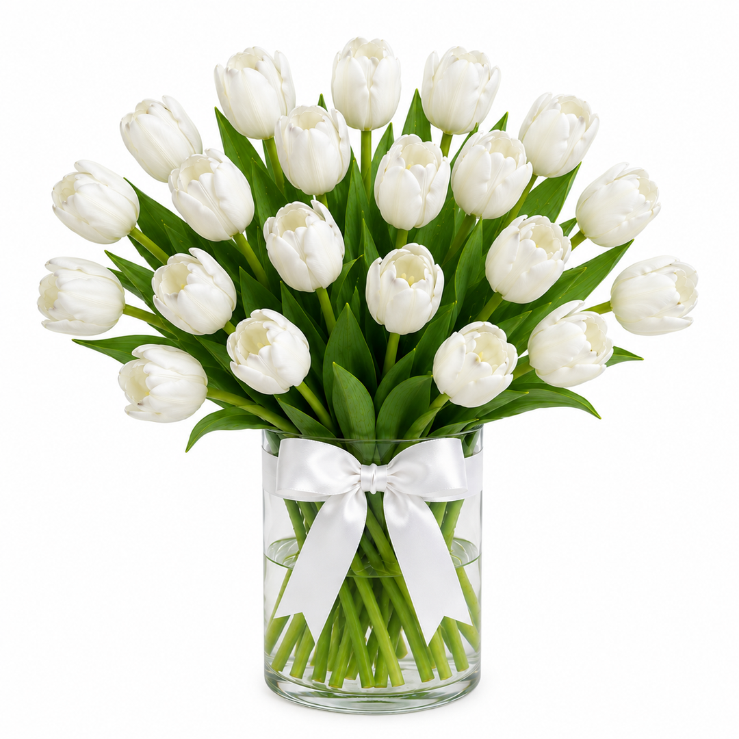 Snow Tulips