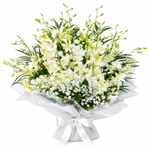 Load image into Gallery viewer, Snowchid Orchids