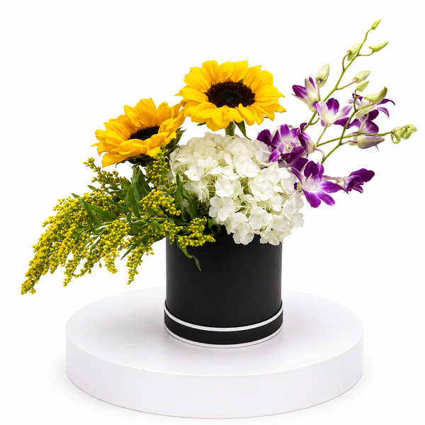Sunshine Orchid Bloom Box