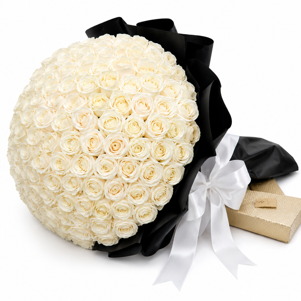 Veloria Roses