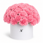 Load image into Gallery viewer, Pink Carnation Box